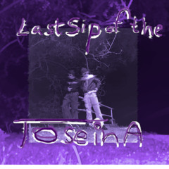 La$t $ip of the ToSeinA (feat. Luna€y)