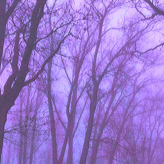 UNTITLED_2_OLD_SNIPPET