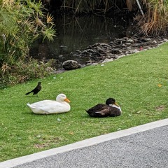 Offering to the Steppe God