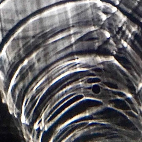 CRUDE Exclusive: Scano - Vitrum