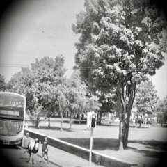 ON THE ROAD AGAIN (1,2,3,GO)