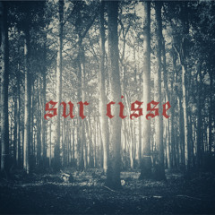 Sur Cisse