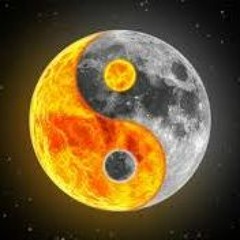 Zen Day / YT video (link in description)