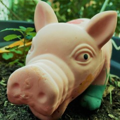 Pralina&amorizont verteilen Schweinebacken im Kapcake-Laden