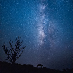 Shifting Earth