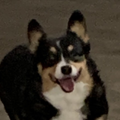 First song with words ft. Lil Feddie