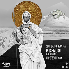 Premiere: Soul Of Zoo, SEVN (CA) - MushMush Ft Walead (Air Horse One Remix) [Frooogs Records]