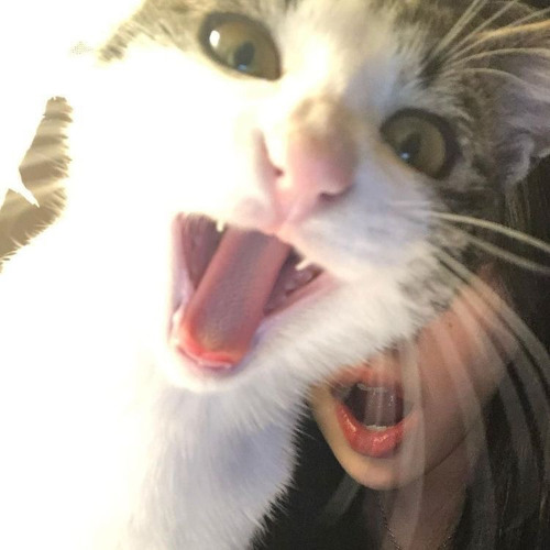 <3