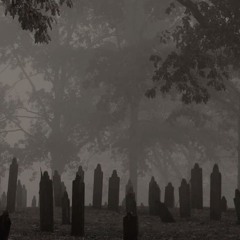 suntf - Gah damn (withdraw)