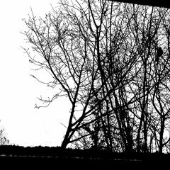 Stealin' Babies DEMO