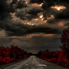 Paypa- Calabasas-Medium-Balanced