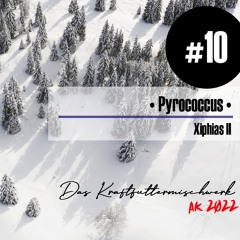 2022 #10:  Pyrococcus - Xiphias II
