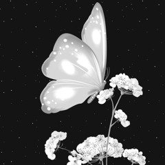 Butterfly - Jessi Way