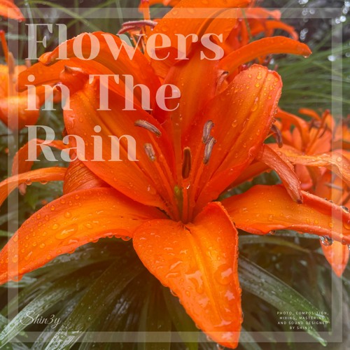 Flowers In The Rain