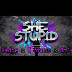 Ridge x $ Shaun x 1T1 - She Stupid Freestyle (Houdini Riddim)