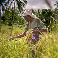 Miembe - The Letter (Official Soundtrack)