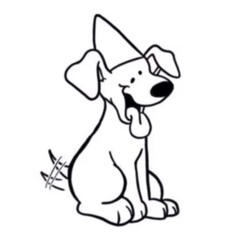 duncedog - aerojungle