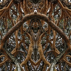 Deep Forest Mix for Visionary Shamanics Records Podcast [Link in description]