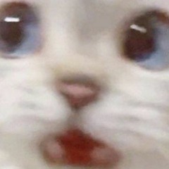 no wock but faster (prod bwadu)