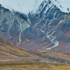yukon