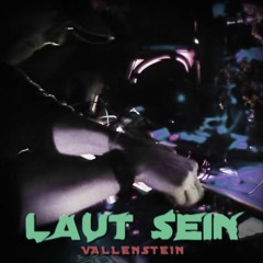 Laut Sein - Vallenstein (Iriepathie feat. Irie Révoltés - Laut Sein Frenchcore REMIX by Vallenstein)