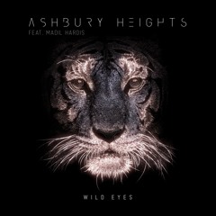 Wild Eyes (feat. Madil Hardis)