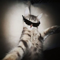 Clock Between Our Ribs