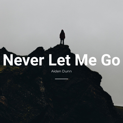 Never Let Me Go