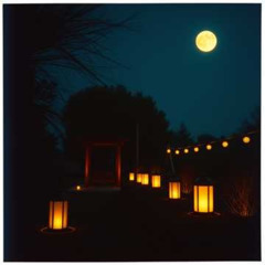 Whispers in The Night