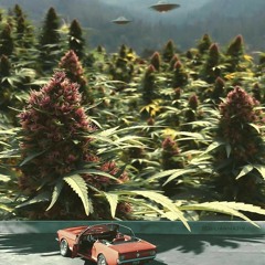 Robot Alien ThugZ
