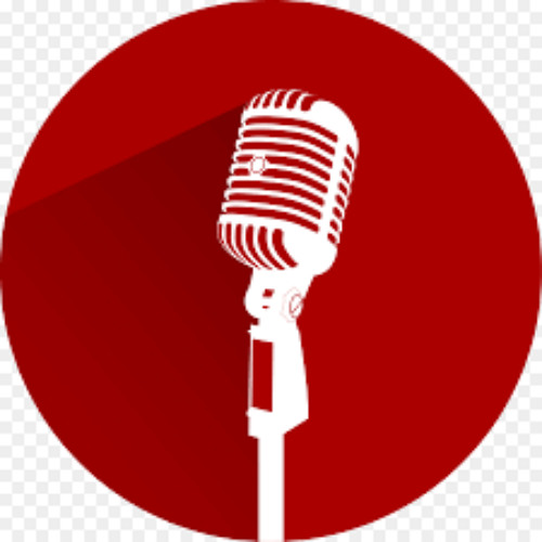 ABC Breakfast Radio-Ryk Goddard Interviews Meg Webb MLC re AFL Stadium process-14Apr2025
