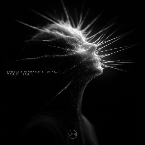 Droplex & Giancarlo Di Chiara - Your soul (Original Mix)