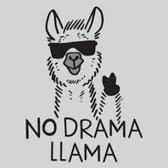 Llama Drama
