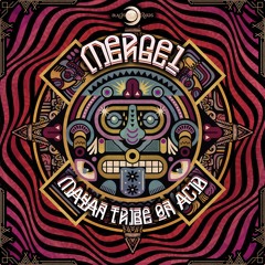 Mayan Tribe on Acid (Original Mix)