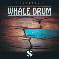 Solonoid Studio - Utopia (naked) - Soundiron Whale Drum