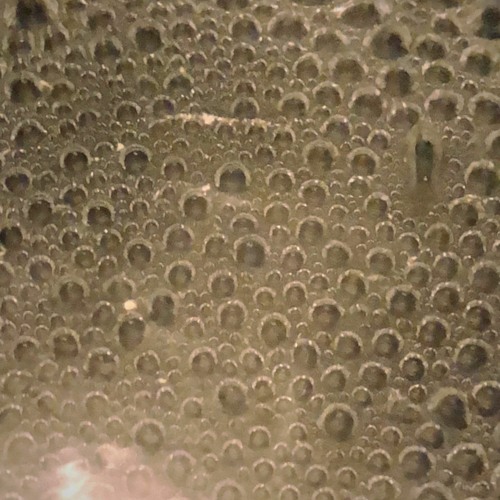 PREMIERE: Cellar Man - Risky Tings