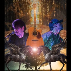 Sundown. The Outsiders covering Gordan lightfoot