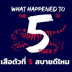 PODCAST :What's Happened To NO.5 Tiger ( JINGLE )
