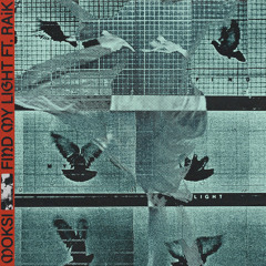 Find My Light (feat. RAiK)