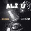 SUNNYSIDE RADIO #012 ft. Ali U DJ mix artwork - Electronic music tracklist cover image