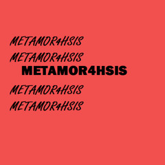 METAMOR4HSIS
