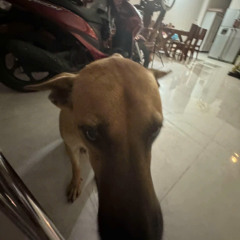 Con Tim Anh Thay Đổi - Remix