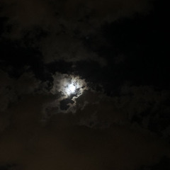 ‎⁨تلاوة خاشعة  القارئ عمر الدريويز⁩