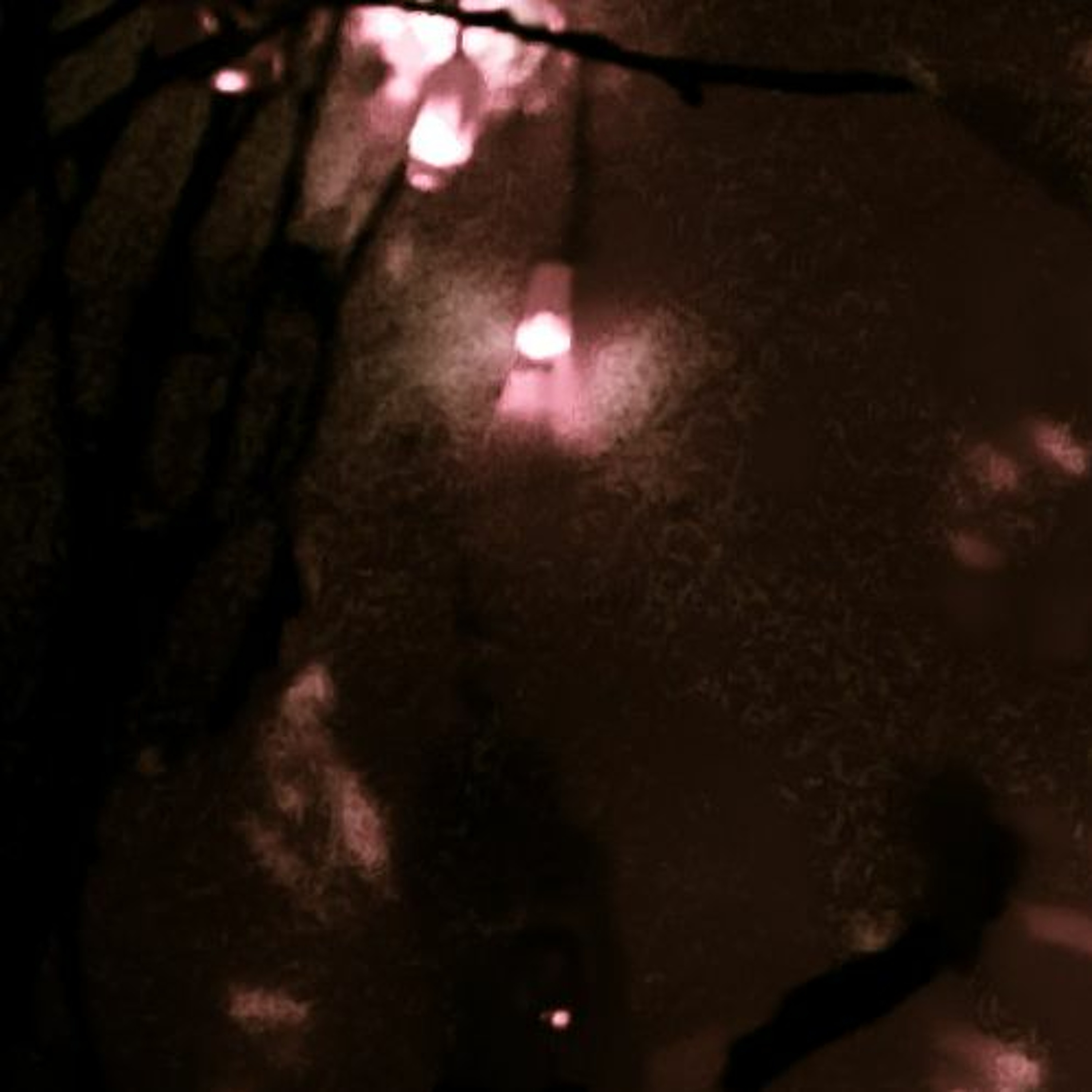 Christoph Woerner | Herztoene Podcast 2016