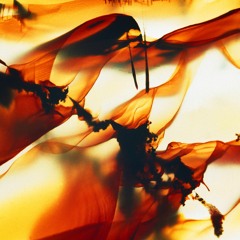 Into The Light