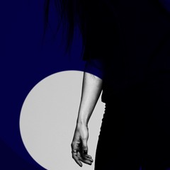 ShibiDorra Journey / Techno #03