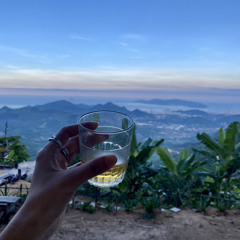 Tình Đơn Côi - Nguyễn phi hùng