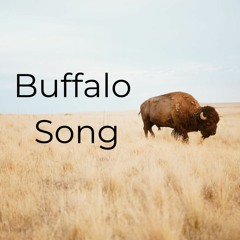 Buffalo Song