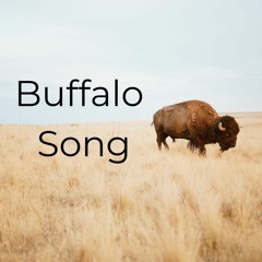 Buffalo Song