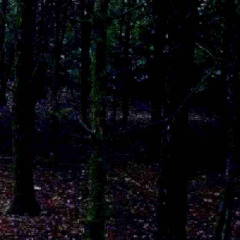 01. Translation Error